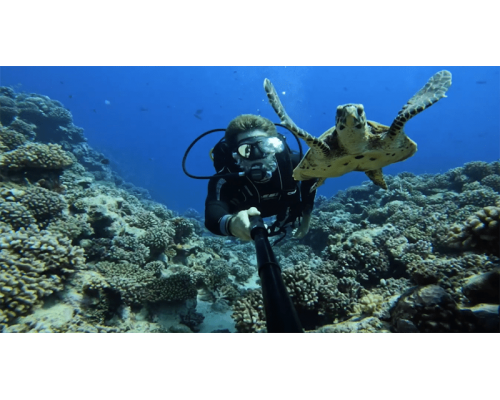 Захисний корпус (GoPro HERO11 Black Mini)